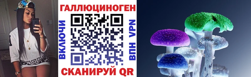 Галлюциногенные грибы Psilocybe  Купить закладки  Новосиль 