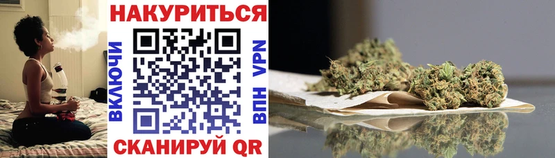 МАРИХУАНА SATIVA & INDICA  Купить закладки  Новосиль 